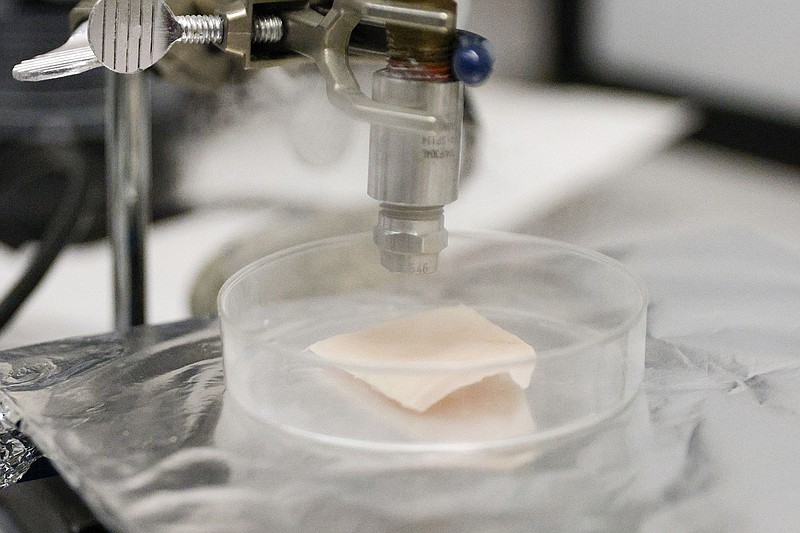 An air gun delivered powdered metal organic frameworks, which can hold vaccines, into pig skin during a demonstration at the University of Texas at Dallas on May 9 in Richardson. (Elías Valverde II/Dallas Morning News/TNS)