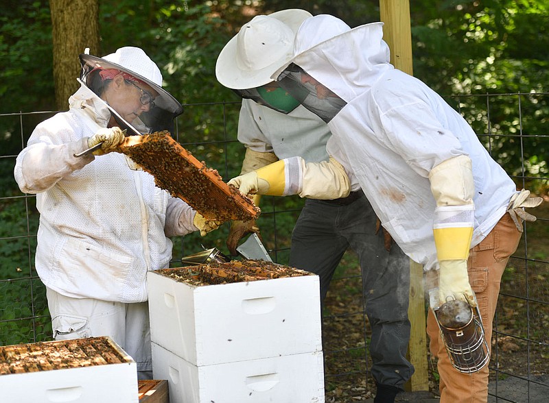 Mel Zabecki (from left), state archeologist with the Arkansas Archeological Survey, assesses the condition of a bee hive Tuesday, May 30, 2023, as Steve Lisle, a Washington County Master Gardener, and Marty Powers of the Shiloh Museum of Ozark History assist at the museum in Springdale. The hive was donated to the museum by neighbor Ted Wigginsâ€™ estate and will be managed by Powers and Lisle for the enjoyment and teaching opportunities it will  provide to visitors. Visit nwaonline.com/photo for today's photo gallery. 
(NWA Democrat-Gazette/Andy Shupe)