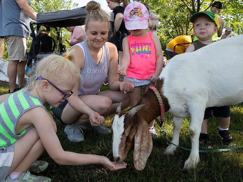 From left, Jill Rademan, 4, feeds a goat while her mom, Jill and her sister Lexi, 2, watch— with her brother Gus, 1, looking around on Saturday, June 3, 2023 at Ellis-Porter Riverside Park, in Jefferson City. From St. Thomas, this was the family's first time here. (Kate Cassady/News Tribune)