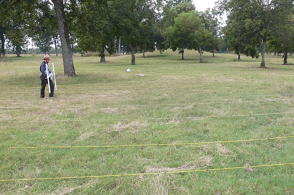 Study: Ancient skulls at Miller County site belong to Caddo ancestors - Vimarsana News