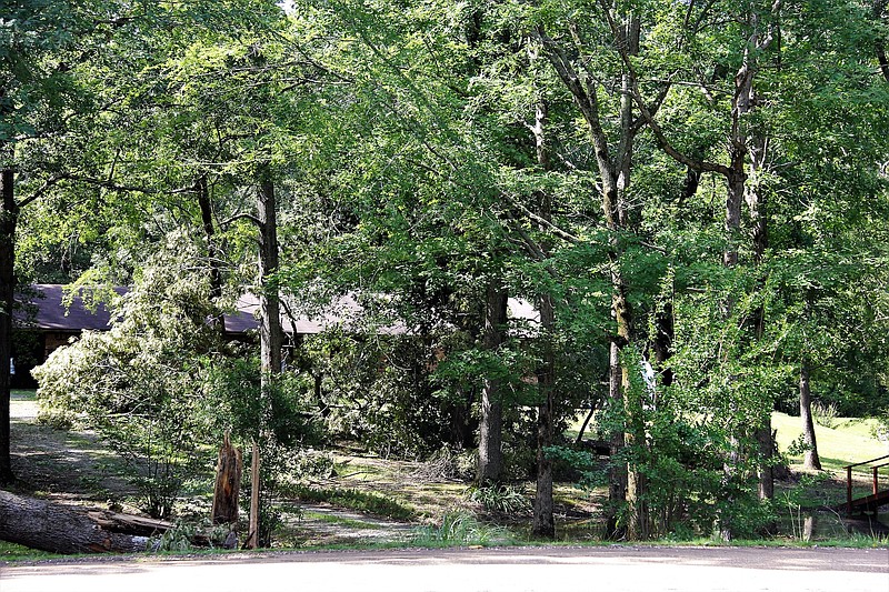 Downed trees could still be seen off Moro Bay Highway on Monday afternoon. Weather officials confirmed late Tuesday that a tornado touched down in Union County on Sunday, June 18. (Penny Chanler/Special to the News-Times)