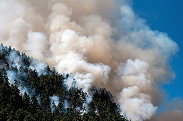Carbon offset hurt by Canada blazes - Vimarsana News