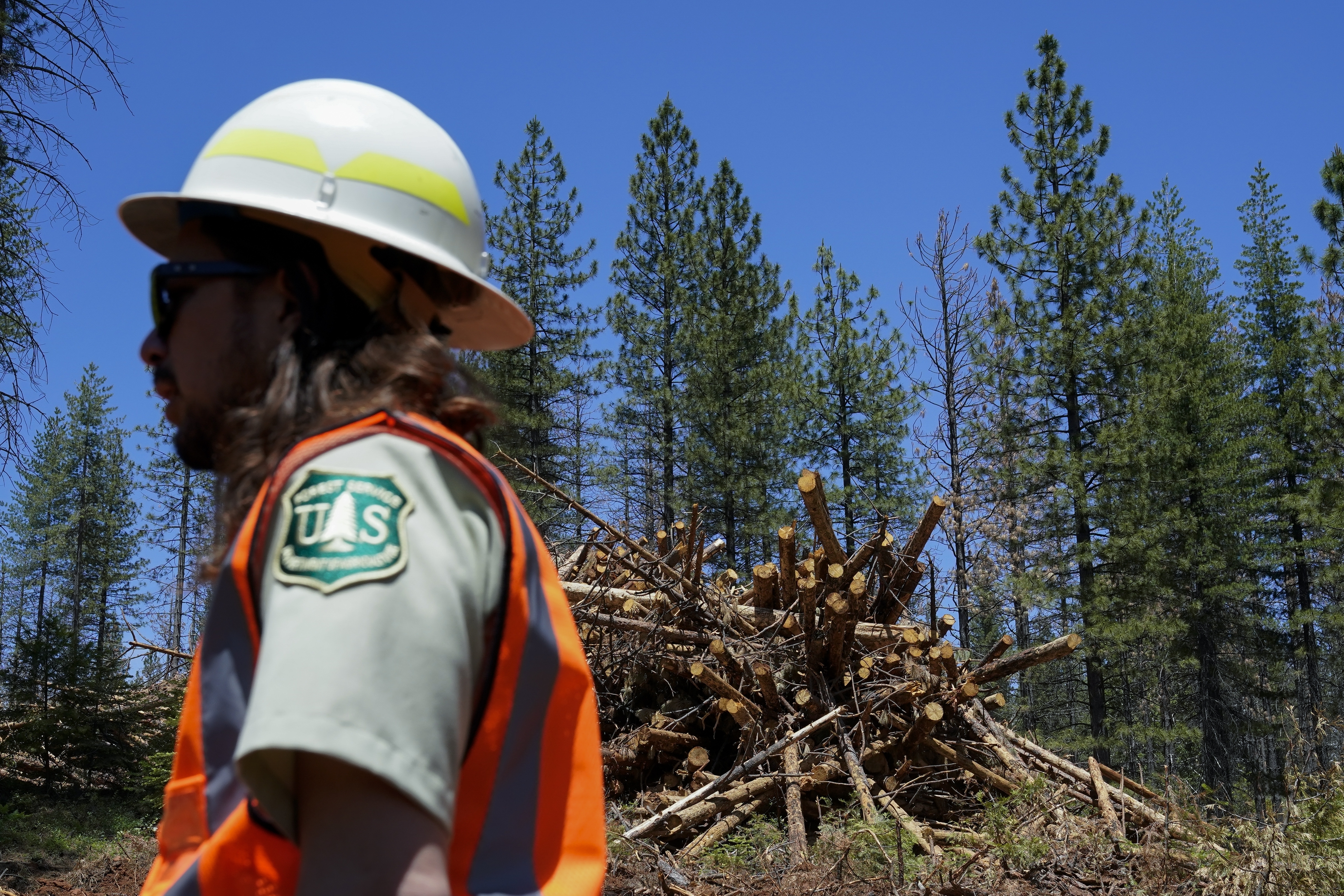 Billions are being spent to turn the tide on the U.S. West's wildfires - Vimarsana News