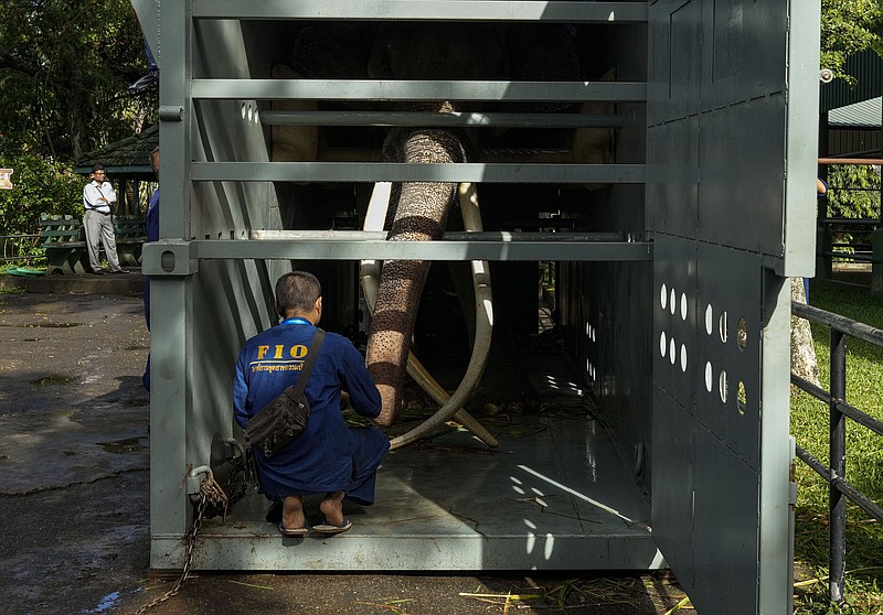 Ailing elephant flown home to Thailand | Northwest Arkansas Democrat