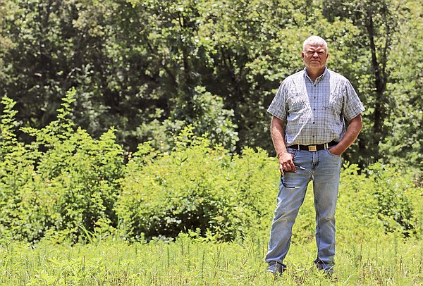 Blight confirmed in some Arkansas trees, but investigation into causes, scope continues - Vimarsana News
