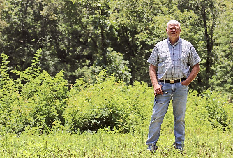 Blight confirmed in Arkansas trees - Vimarsana News