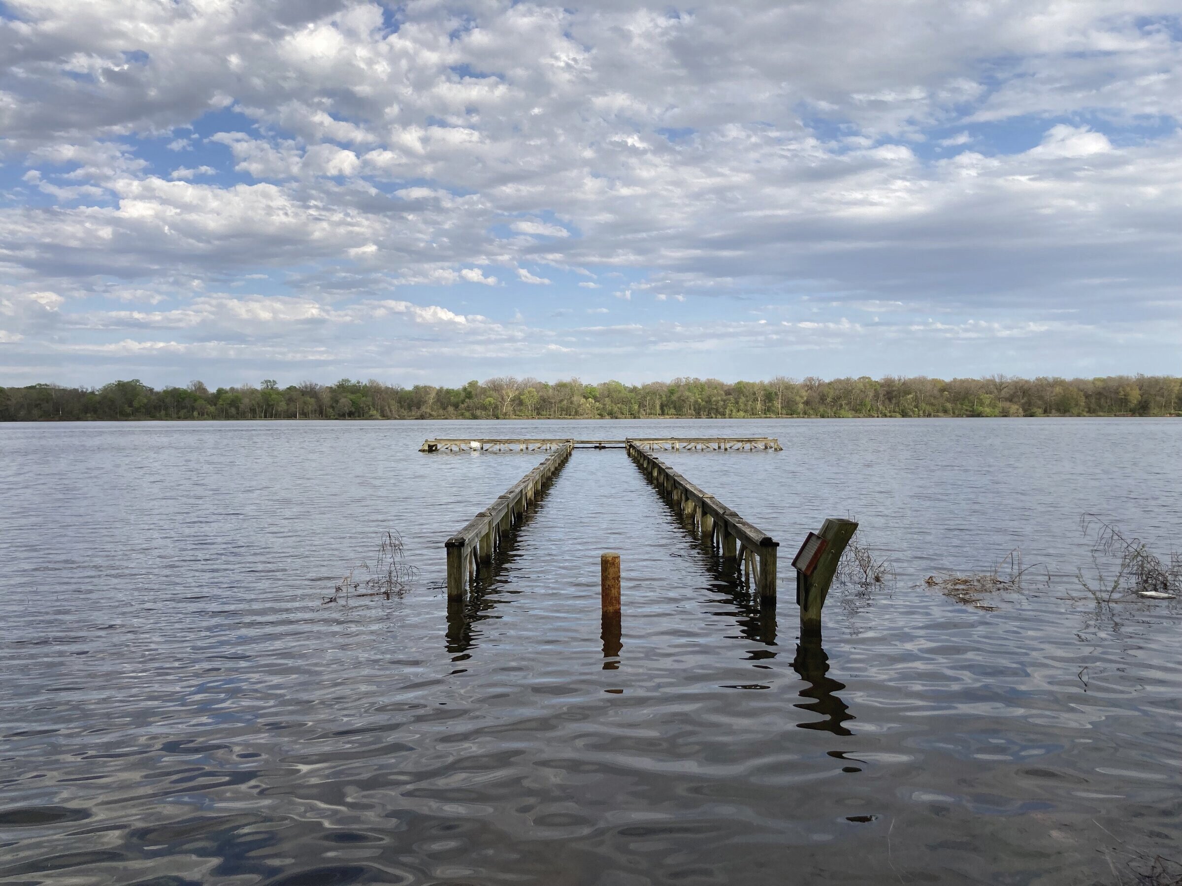 City sees above-average temperatures, rainfall