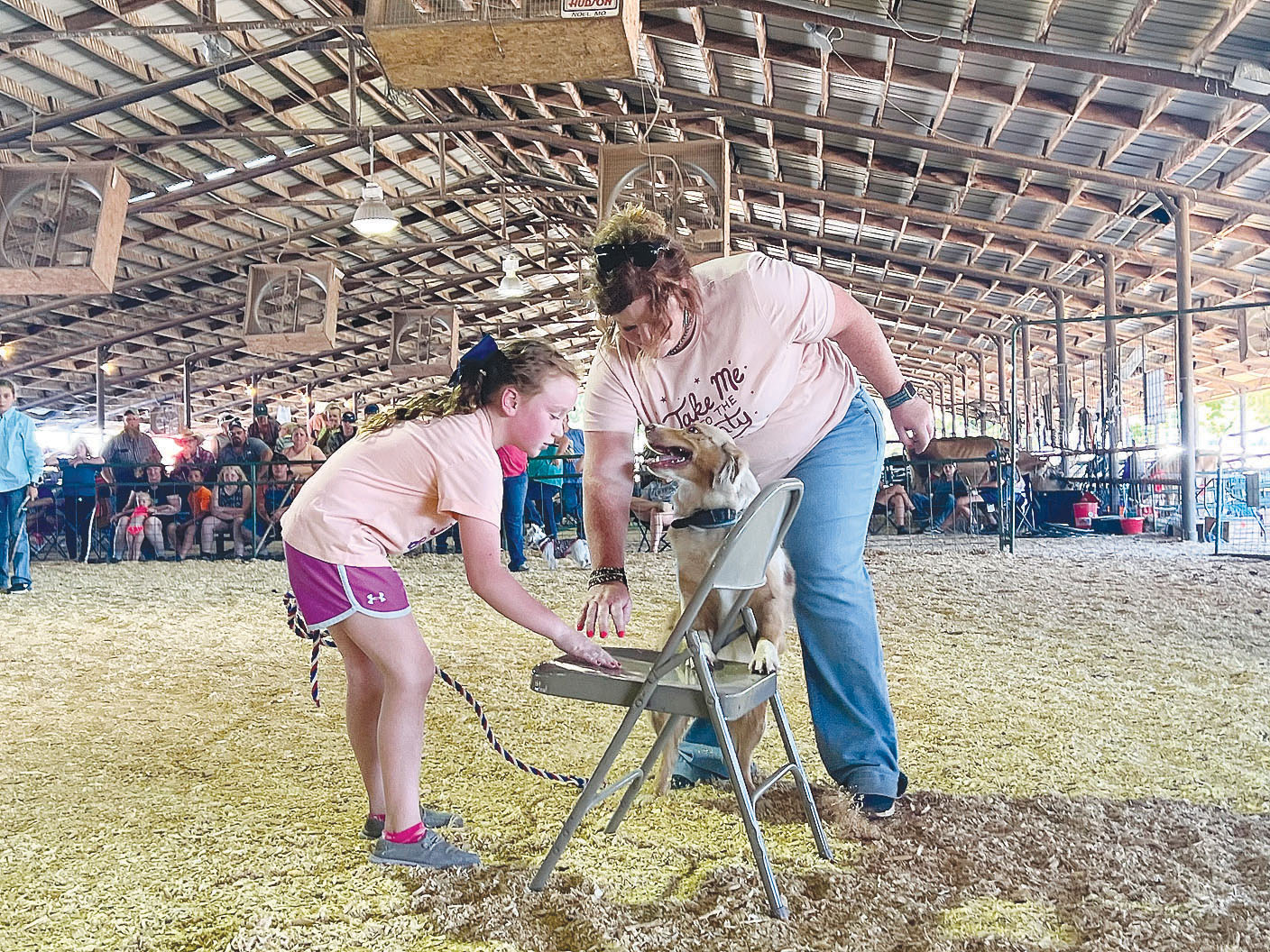 McDonald County Fair 2022 McDonald County Press