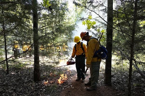 Forest Service HBCUs unite to boost diversity in wildland firefighting Forest Service HBCUs unite to boost diversity in wildland firefighting