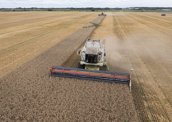 Russia's threat to pull out of Ukraine grain deal raises fears - Vimarsana News