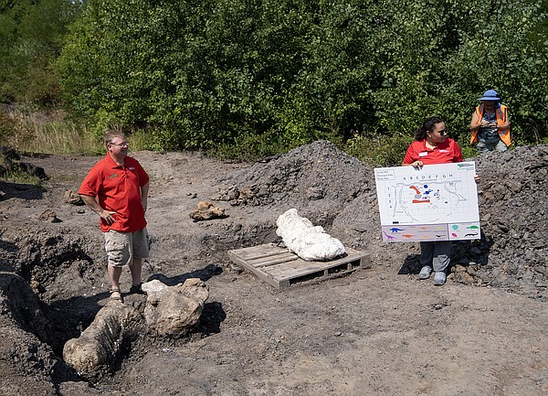 Dinosaur Park lives up to its name with significant find - Vimarsana News