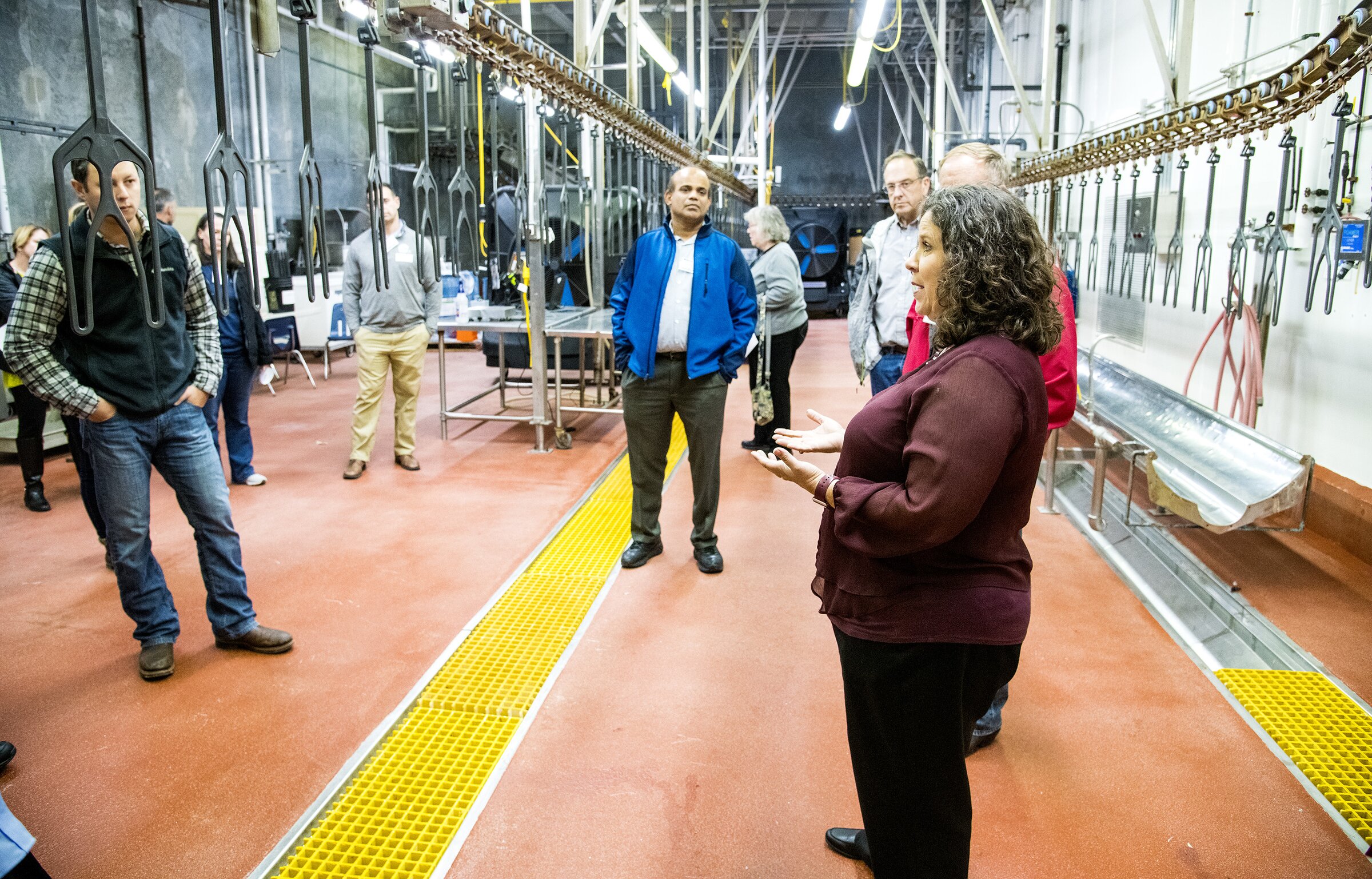 Arkansas leading $5M center to adapt AI in poultry processing