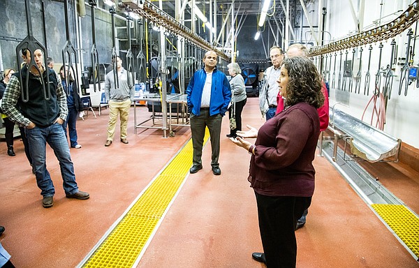 Arkansas leading $5M center to adapt AI in poultry processing - Vimarsana News