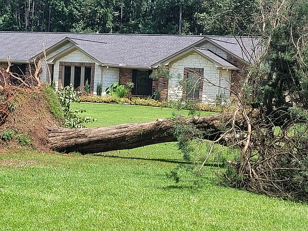 National Weather Service Says Straight Line Winds Likely Responsible ...