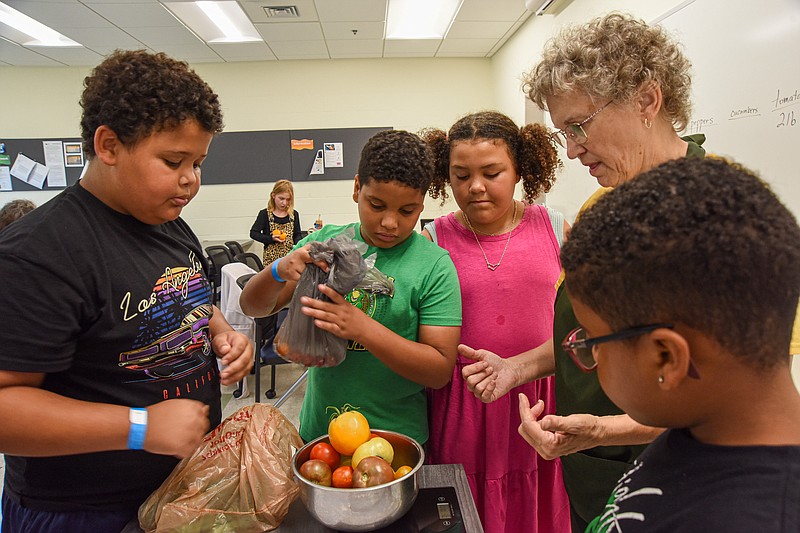 Julie Smith/News Tribune photo: 
Boys and Girls Club members, from left, Declan Barnett, Antony Wilson, Alayiah Reeves and DJ Lowe, at right, wait to see the results of weighing the tomatoes they had just picked from the raised garden beds at Dickinson Research Center on Lincoln University campus in Jefferson City. Weighing the produce is Liz Cordray of Central Missouri Master Gardeners who is leading the classroom portion of this year's Garden and Grow.