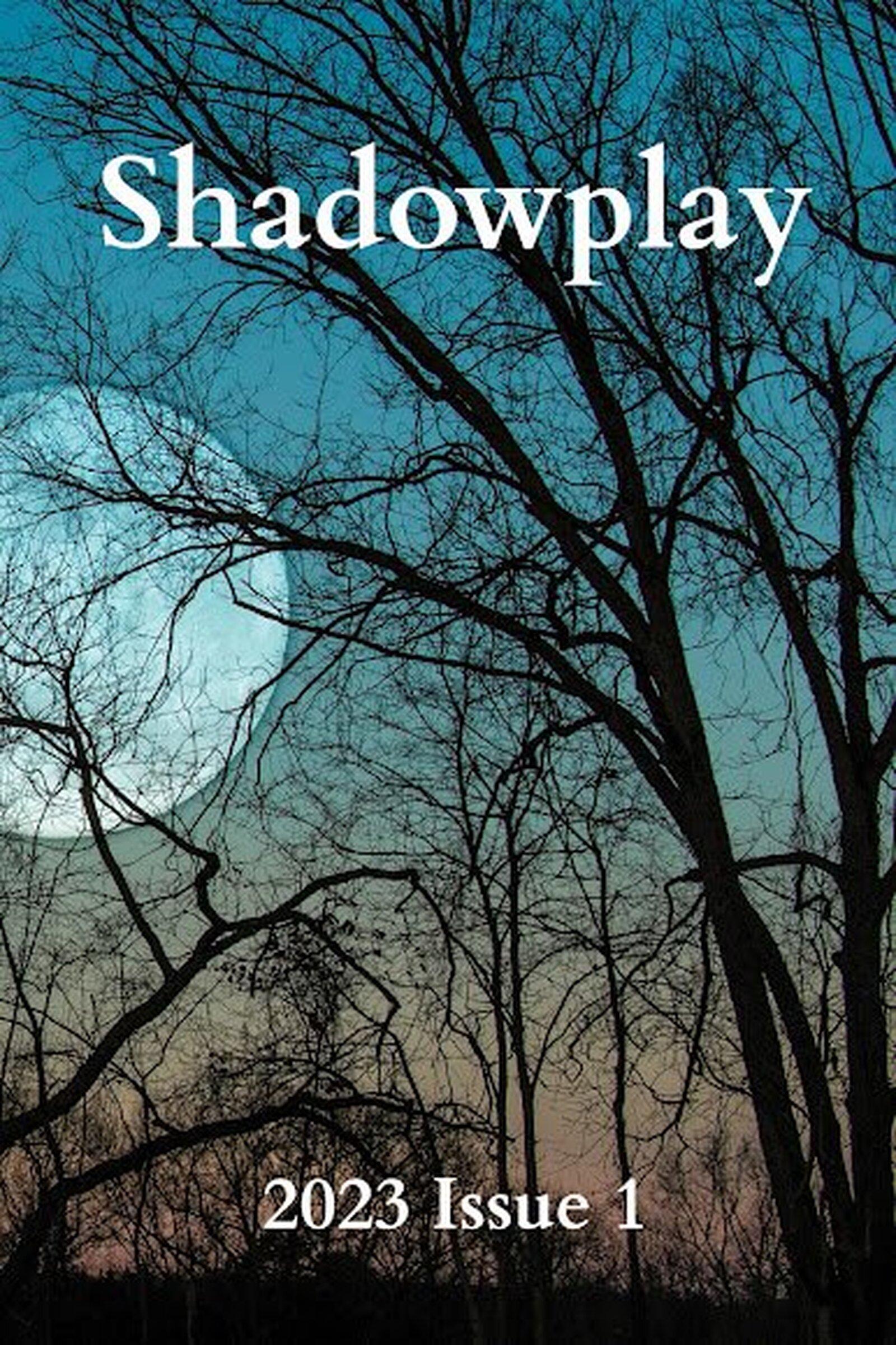 New literary journal launches at UAM