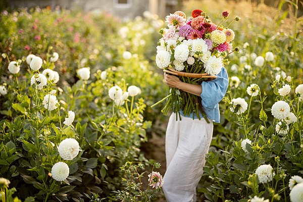 Summer Bouquets from the garden - Vimarsana News