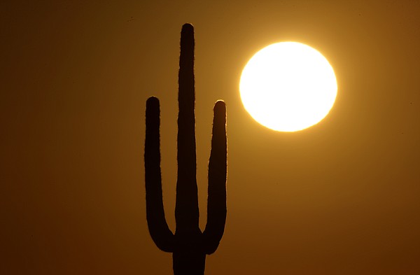 An Arizona woman died after her power was cut over a $51 debt. That forced utilities to change - Vimarsana News