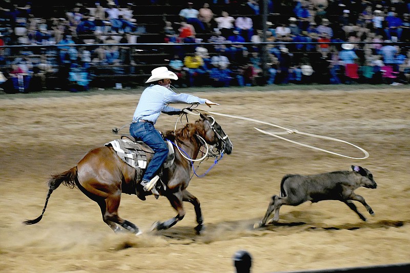 MARK HUMPHREY  ENTERPRISE-LEADER/Calvin Johnson demonstrates the first requirement in tie down roping by lassoing a calf. Johnson recorded a time of 11.3 seconds in Saturday's competition at the 69th annual Lincoln Riding Club Rodeo.