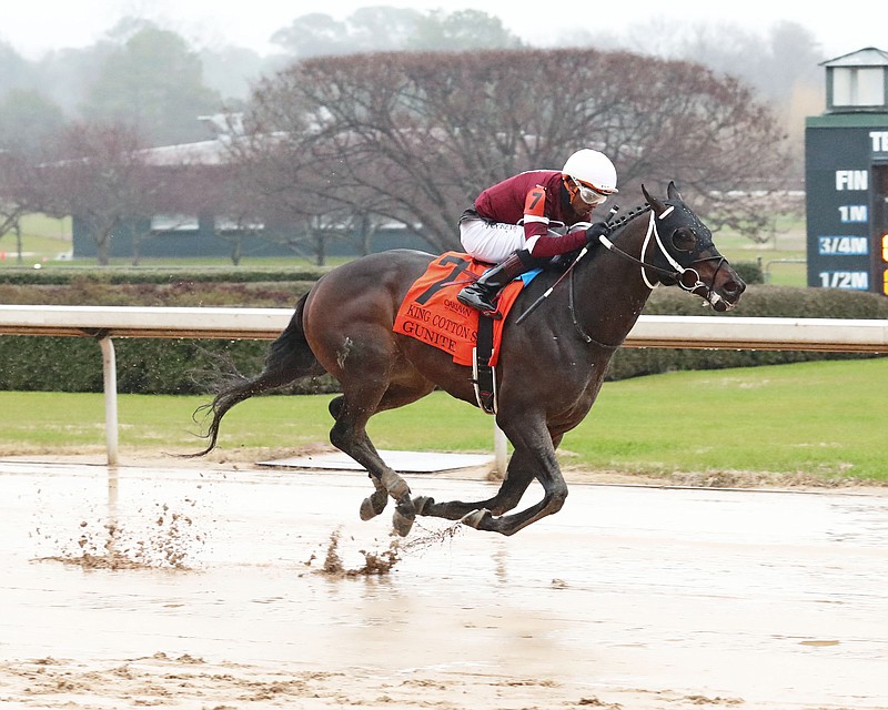 Gunite wins the $150,000 King Cotton Stakes Jan. 28 at Oaklawn. - Photo courtesy of Coady Photography
