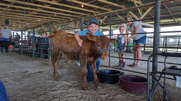 Youth prepare calves, more for peewee livestock show - Vimarsana News