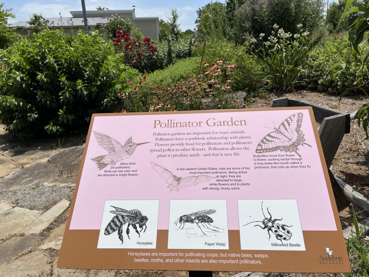 Little Rock Audubon Center offers a unique look at diverse habitats
