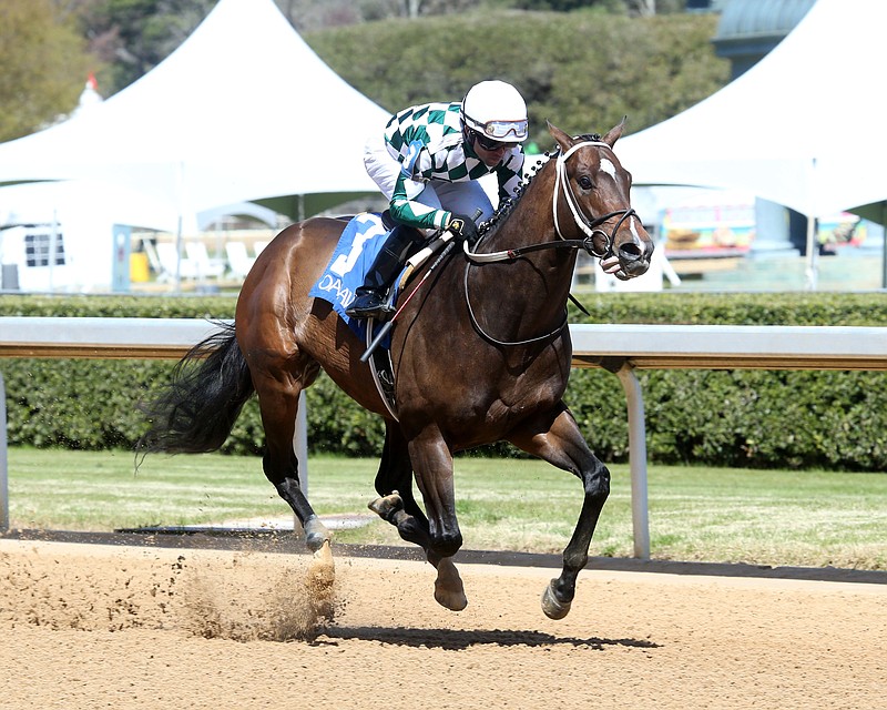 Cogburn wins an entry-level allowance race March 25, 2022, at Oaklawn. - Photo courtesy of Coady Photography