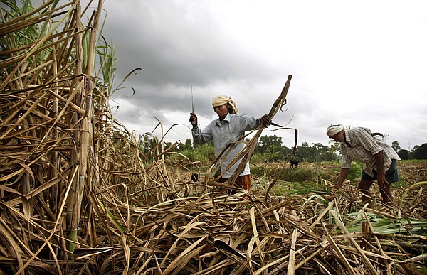 Sugar trade worry next after rice - Vimarsana News