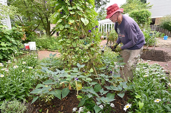 Master Gardeners get ready for WCHS Ice Cream Social Aug. 19 - Vimarsana News