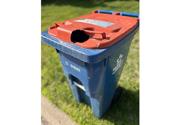 How to protect your organic composting bins from raccoons squirrels and maggots