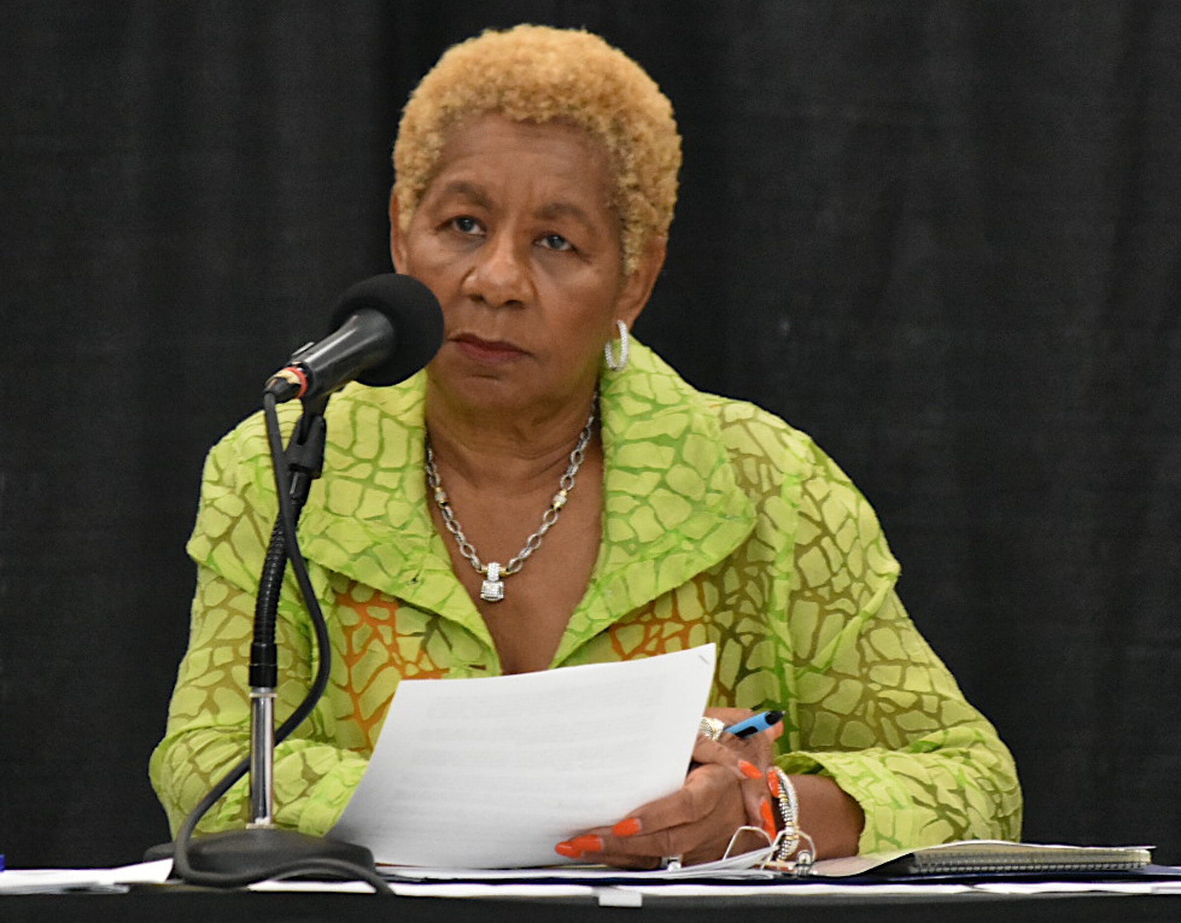 Pine Bluff to join with Black Mayors’ project for watershed flood prevention