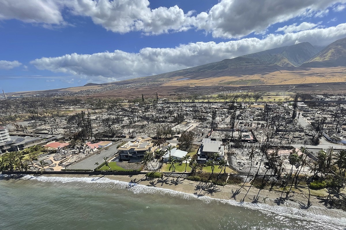 205059018_205059018-