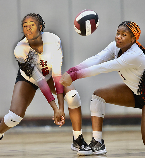 Prep Volleyball: New Boston sweeps Liberty-Eylau - Vimarsana News