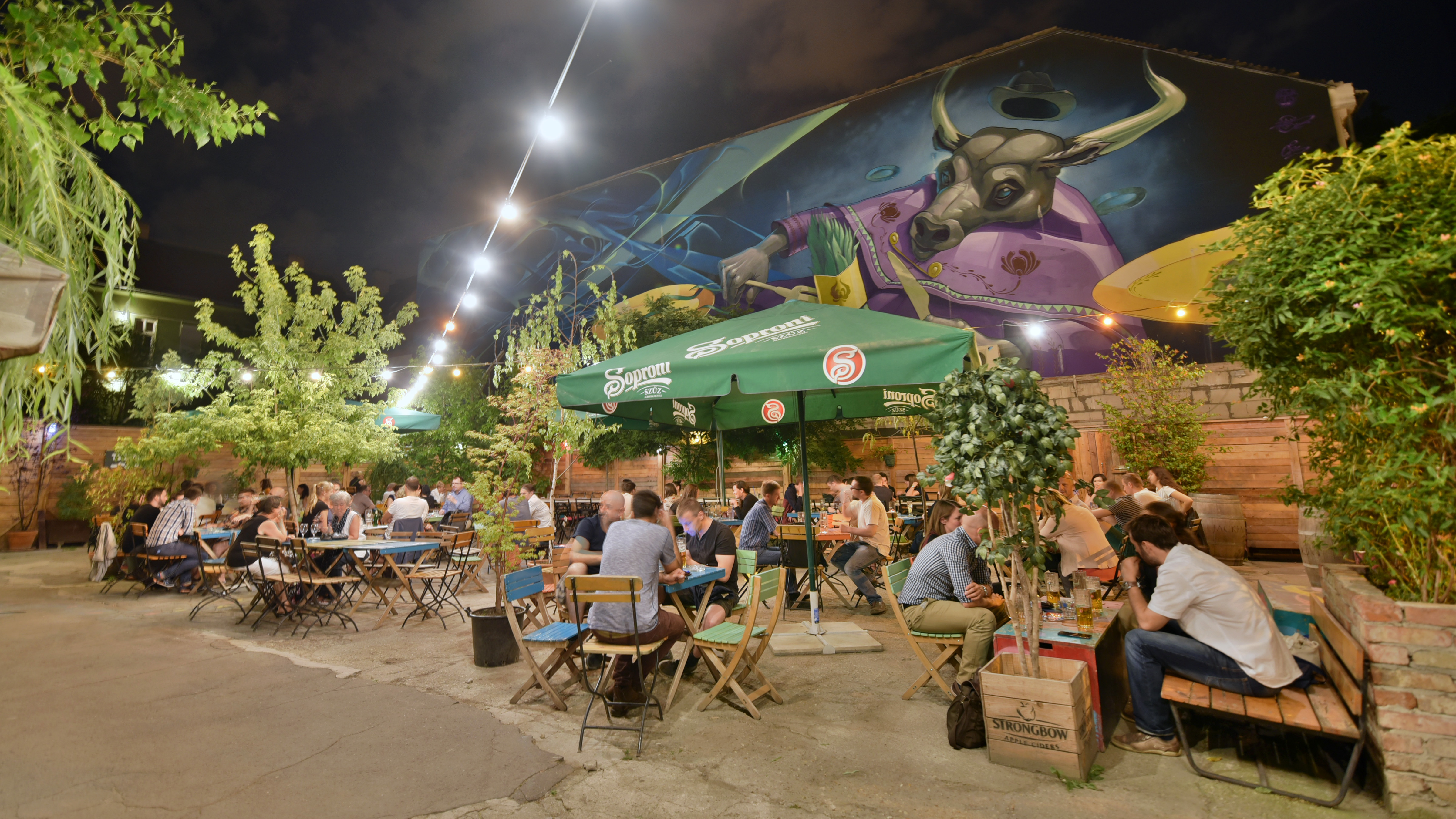 RICK STEVES' EUROPE: Reveling in funky old Budapest 'ruin bars' - Vimarsana News