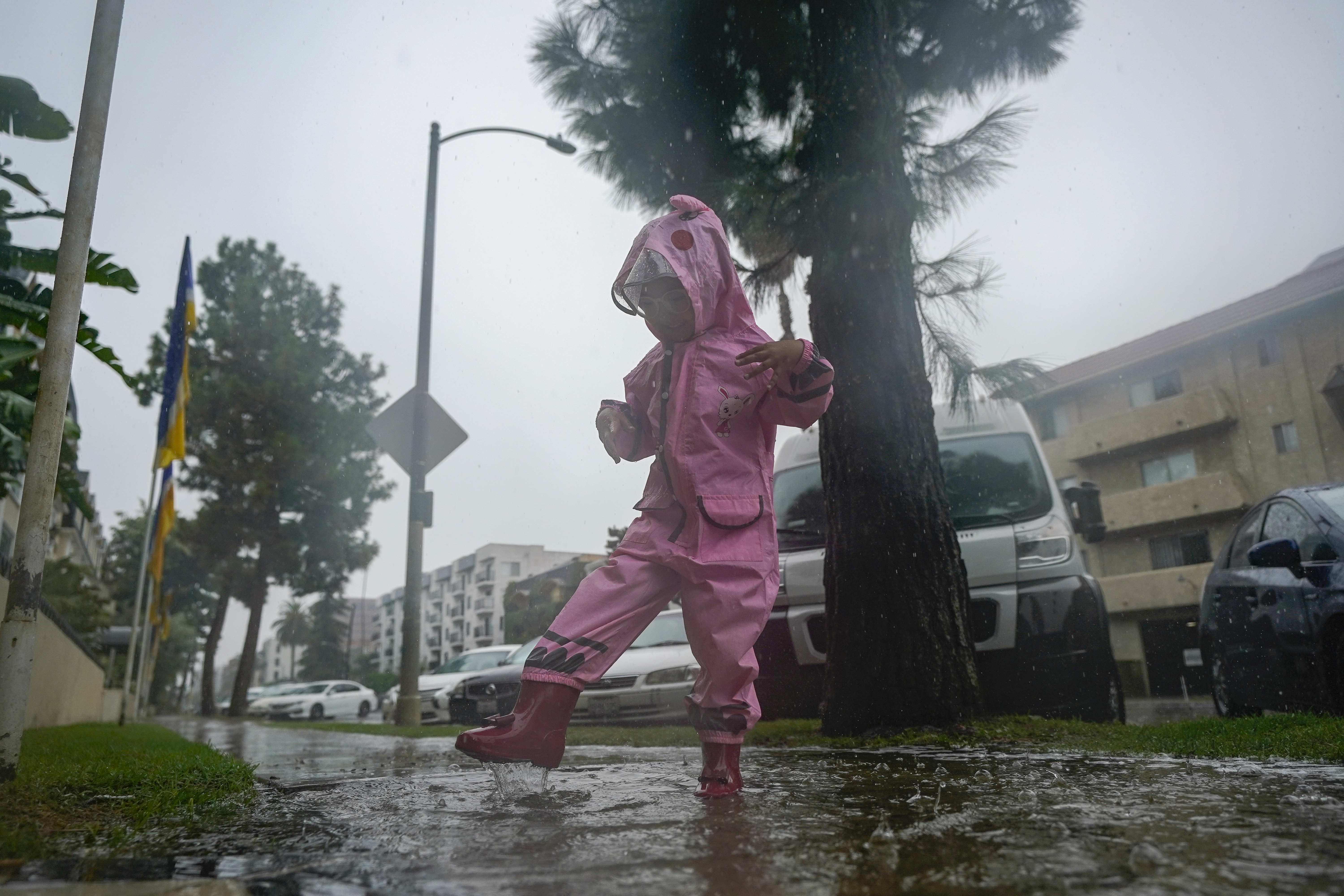 Tropical Storm Hilary carries deluge to California after making landfall along Mexico's Baja coast - Vimarsana News