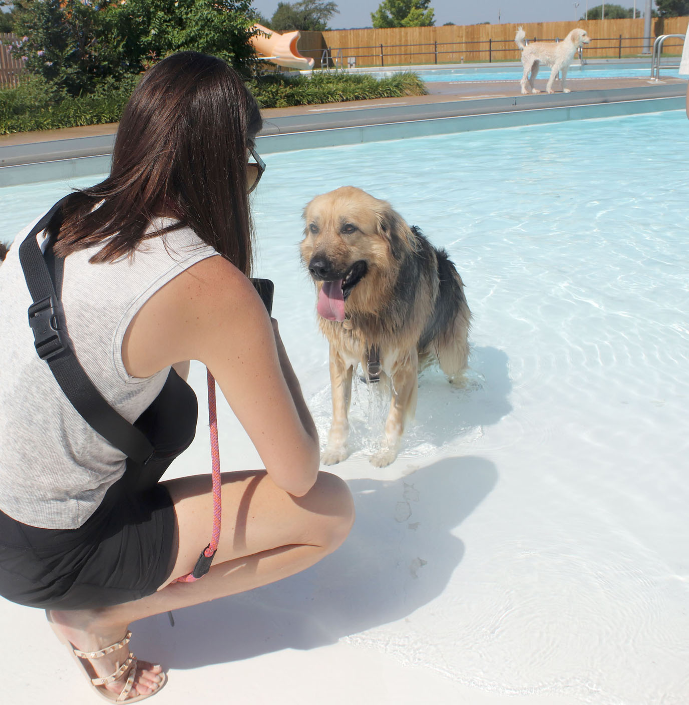 Soggy Doggy fundraiser event held in NWA