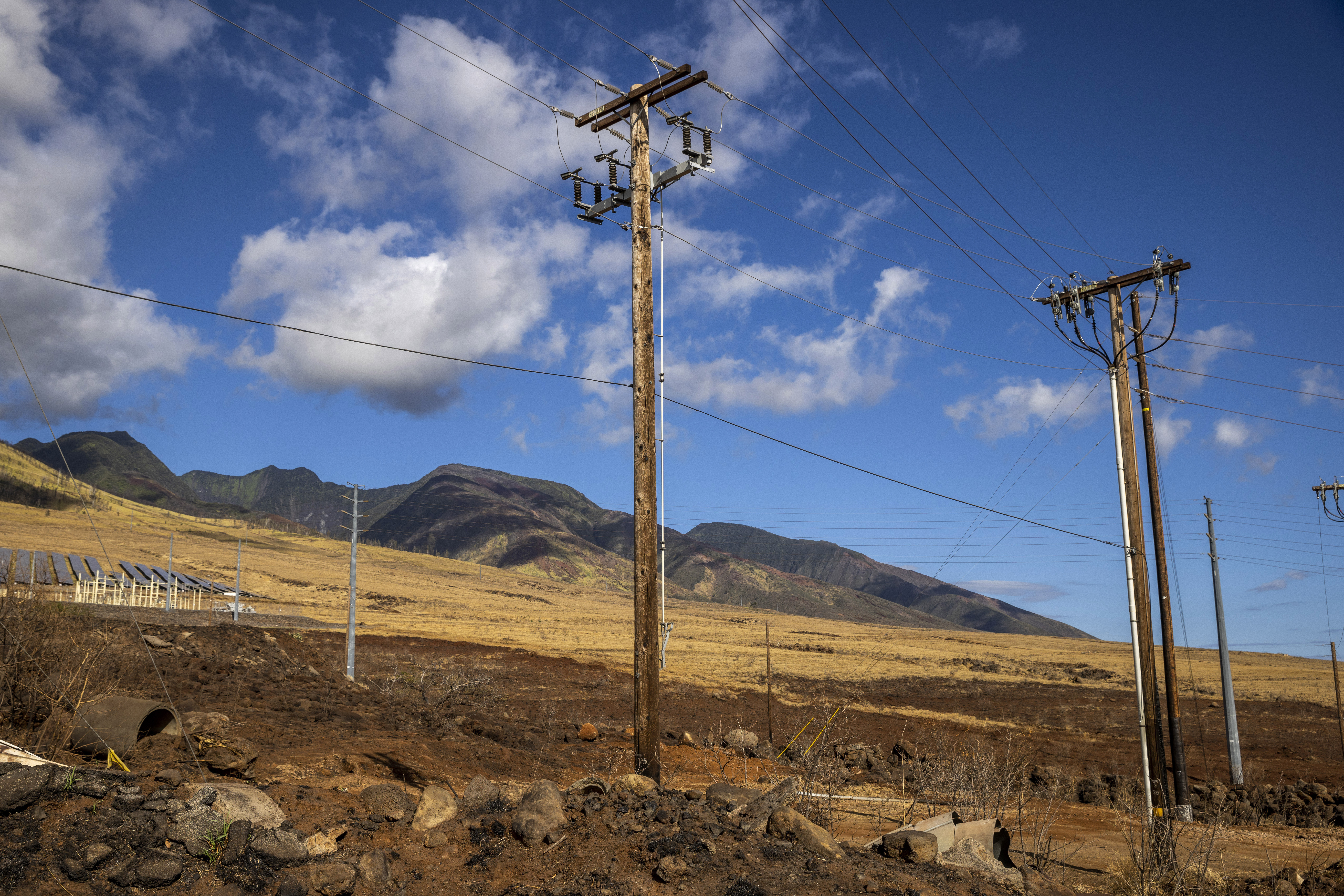 Leaning poles, bare electrical wire on Maui possible causes of deadly fires - Vimarsana News