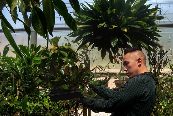 Orchids and corpse flowers delight him. A curator explains their 'magical powers' - Vimarsana News