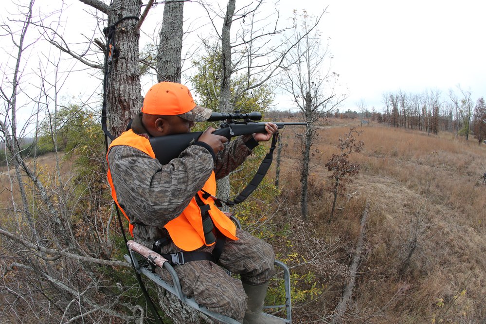 Everything you need to know about deer season - Vimarsana News