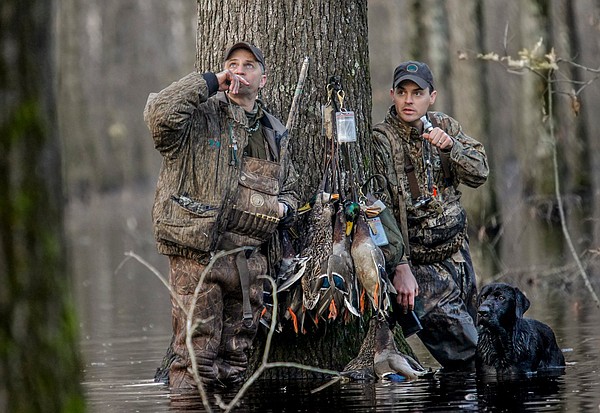 Few days left to hunt teal this season - Vimarsana News