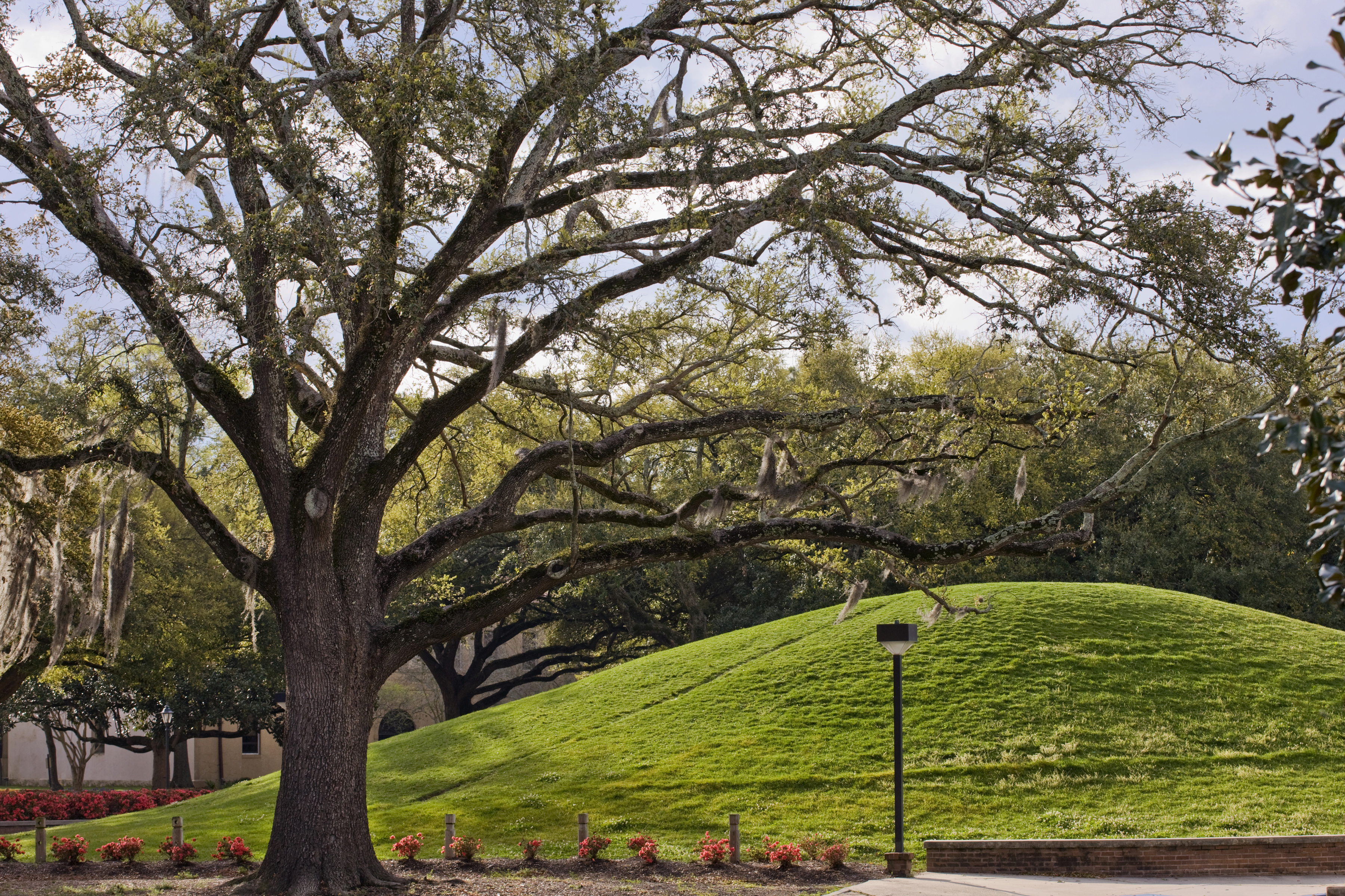 Googling oldest structure in the Americas leads to much debate - Vimarsana News