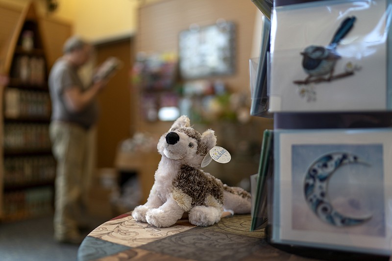 A red wolf stuffed toy sits in a gift shop at the Coastal North Carolina Refuges Gateway Visitor Center, Thursday, March 23, 2023, in Manteo, N.C. From extinct in the wild to success story and back to the brink, "America's Wolf" is at a crossroads. (AP Photo/David Goldman)