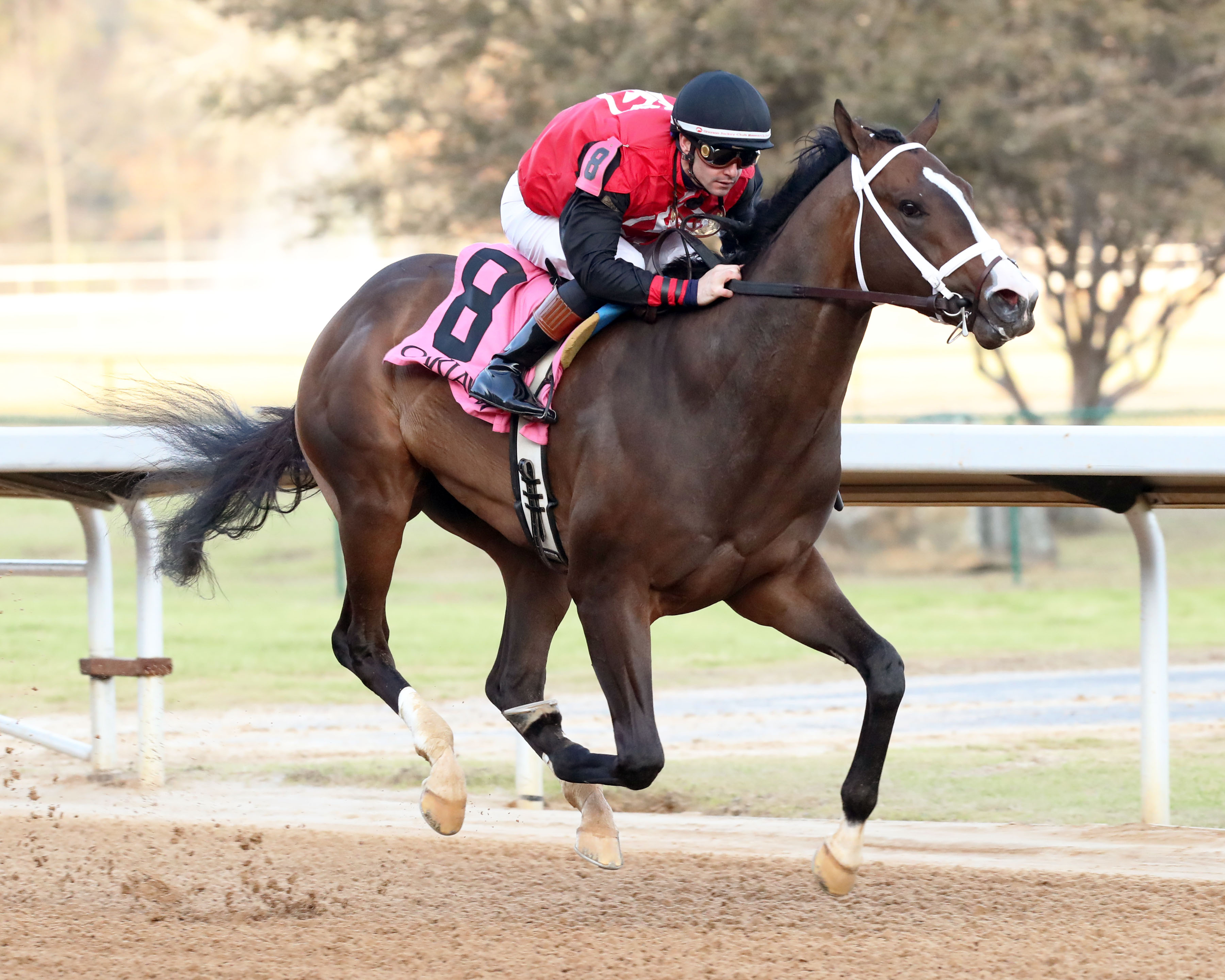 Oaklawn offers tasty Derby preps - Vimarsana News