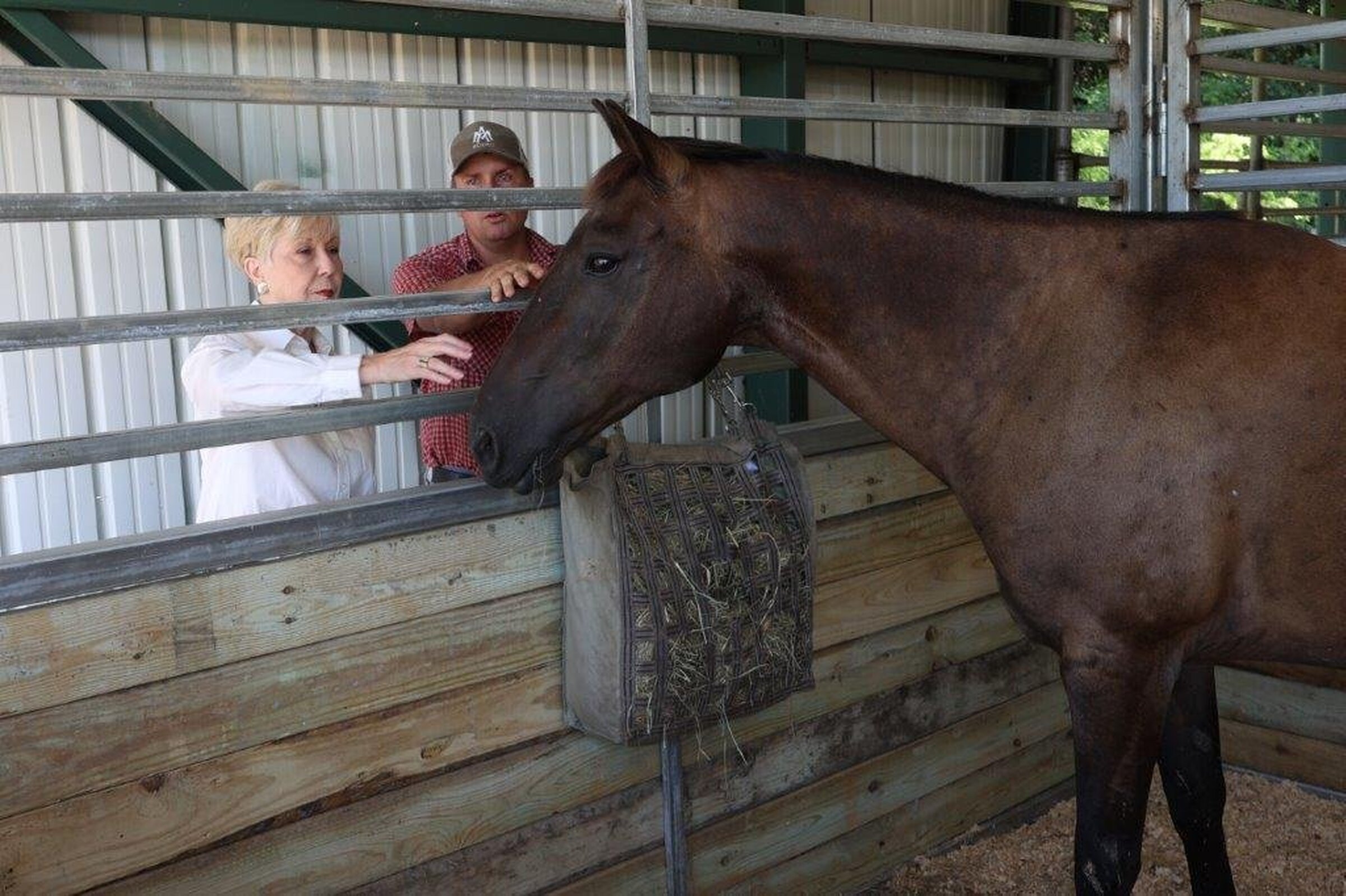 UAM horse barn sports facelift as rodeos begin