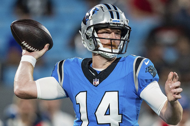 Panthers fall to Lions in preseason finale