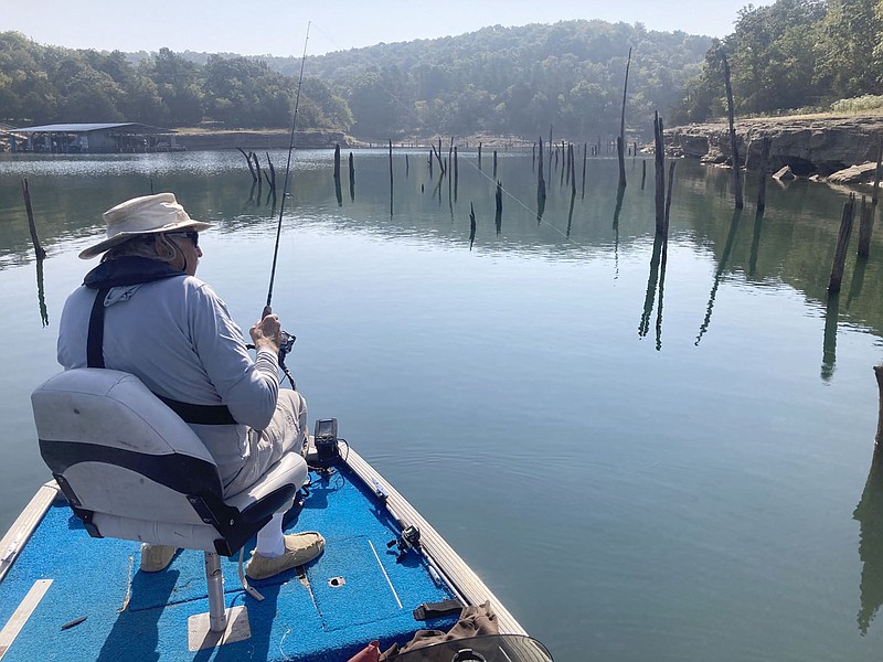 Fall is great at Beaver Lake, but be careful | The Weekly Vista