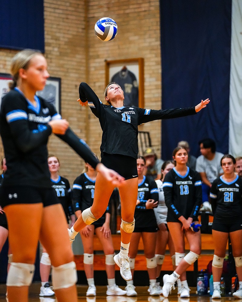 Volleyball - Blue Jay Athletics