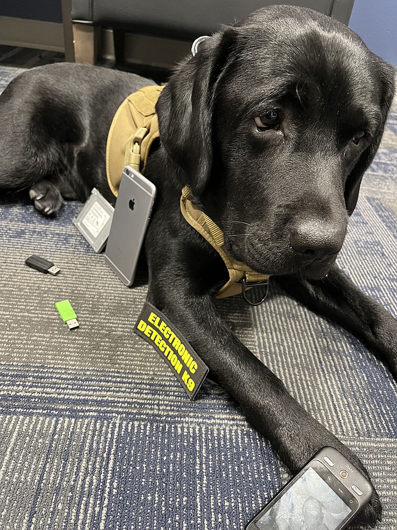 Denver the Dog He seen with varied devices he has found during tribune exercises, Friday, September 15, 2023. Visit nwaonline.com/photos for today's photo gallery.

Courtesy Photo Lieutenant Shannon Jenkins