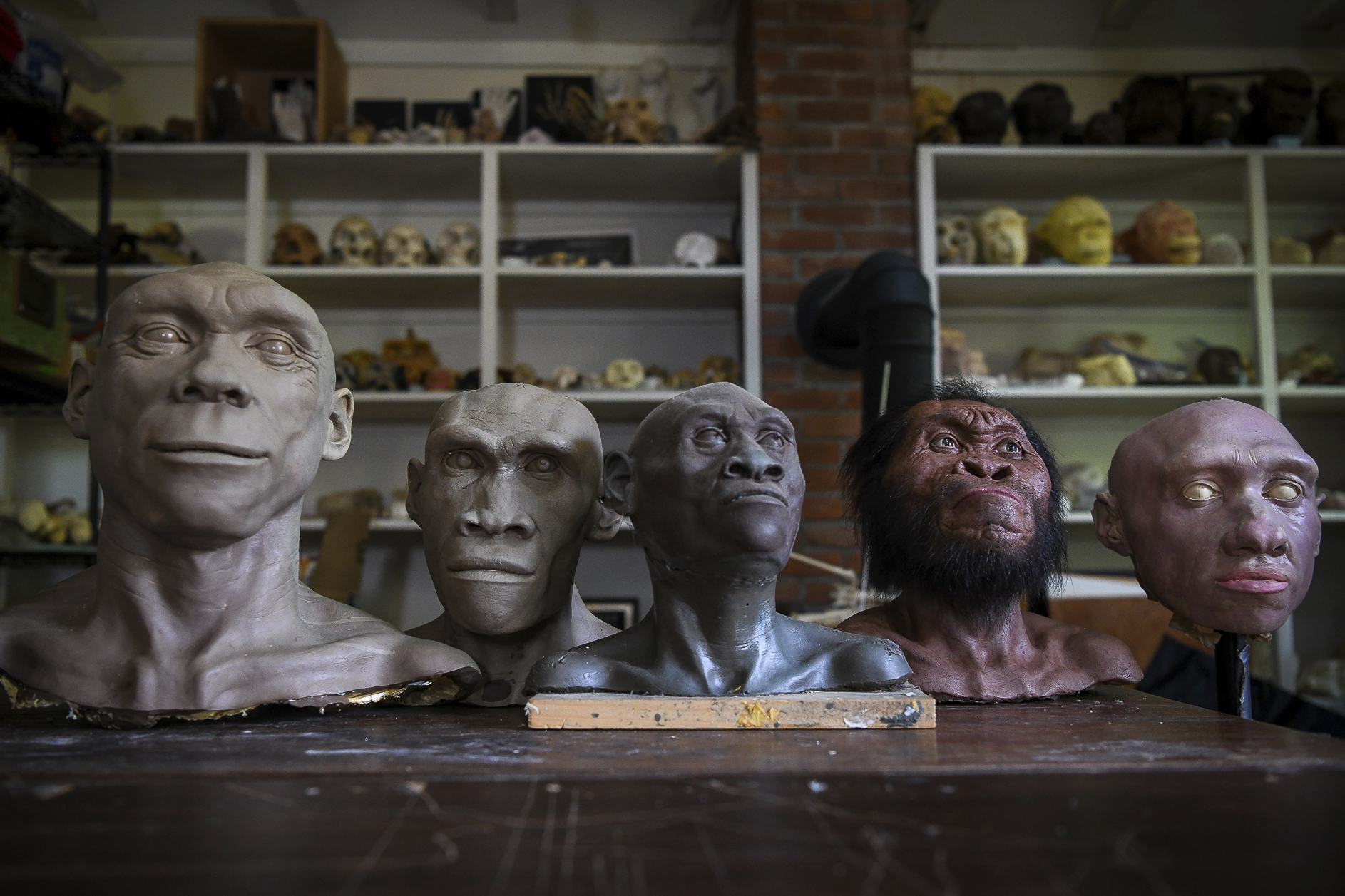 Science paints a new picture of the ancient past, when we mixed and mated with other kinds of humans - Vimarsana News