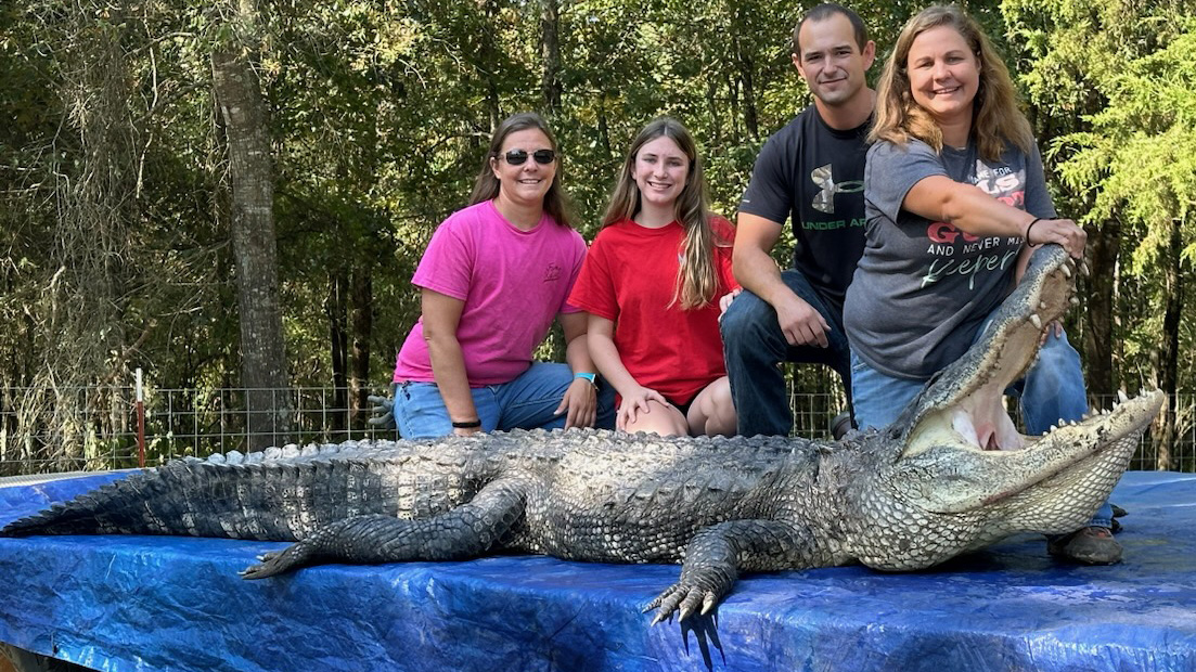 Hunters set ’gator harvest record